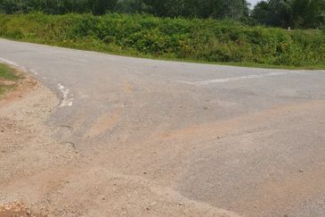 Bukit Rotan, Kuala Selangor, Ijok