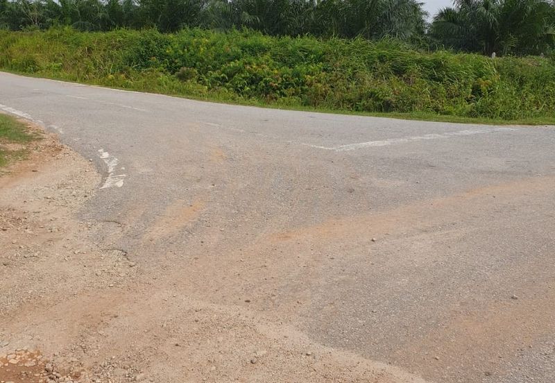 Bukit Rotan, Kuala Selangor, Ijok