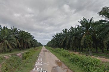 Bukit Rotan, Kuala Selangor, Ijok