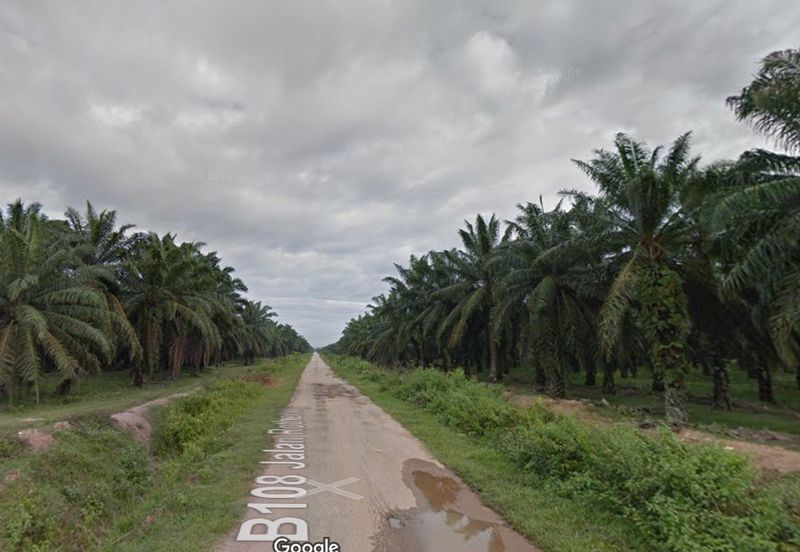 Bukit Rotan, Kuala Selangor, Ijok