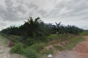 Bukit Rotan, Kuala Selangor, Ijok