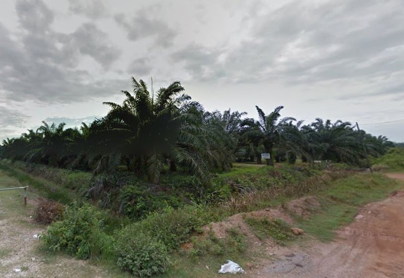 Bukit Rotan, Kuala Selangor, Ijok