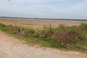 Bukit Rotan, Kuala Selangor, Ijok