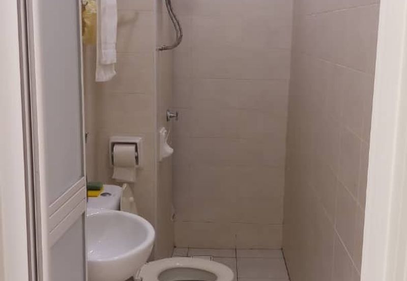 Tropicana City Tropics