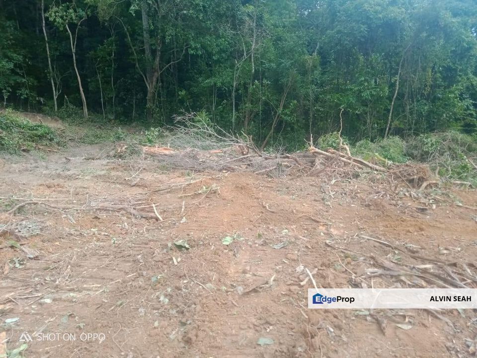 Langkawi, Kedah, Kedah, Langkawi