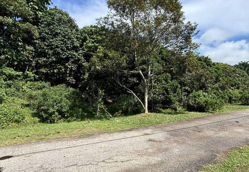 Exevalley Orchard Park, Linggi, Pedas