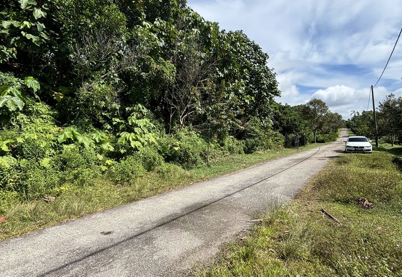 Exevalley Orchard Park, Linggi, Pedas