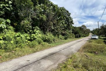 Exevalley Orchard Park, Linggi, Pedas