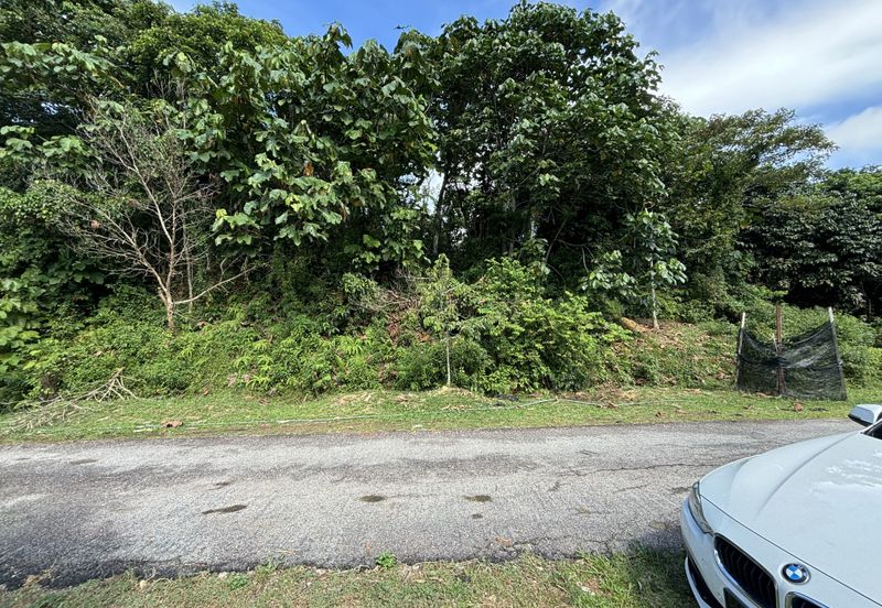 Exevalley Orchard Park, Linggi, Pedas