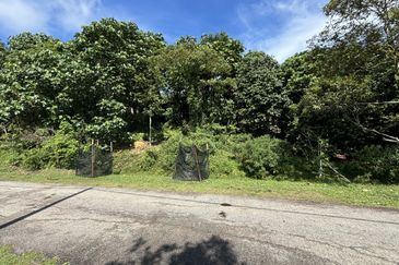 Exevalley Orchard Park, Linggi, Pedas