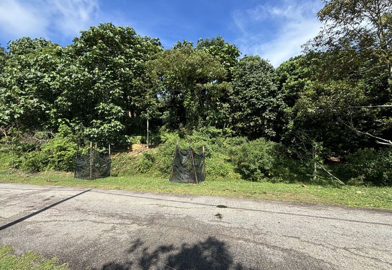 Exevalley Orchard Park, Linggi, Pedas