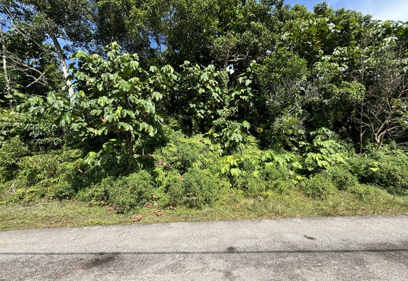 Exevalley Orchard Park, Linggi, Pedas