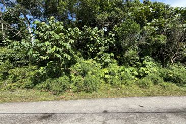 Exevalley Orchard Park, Linggi, Pedas