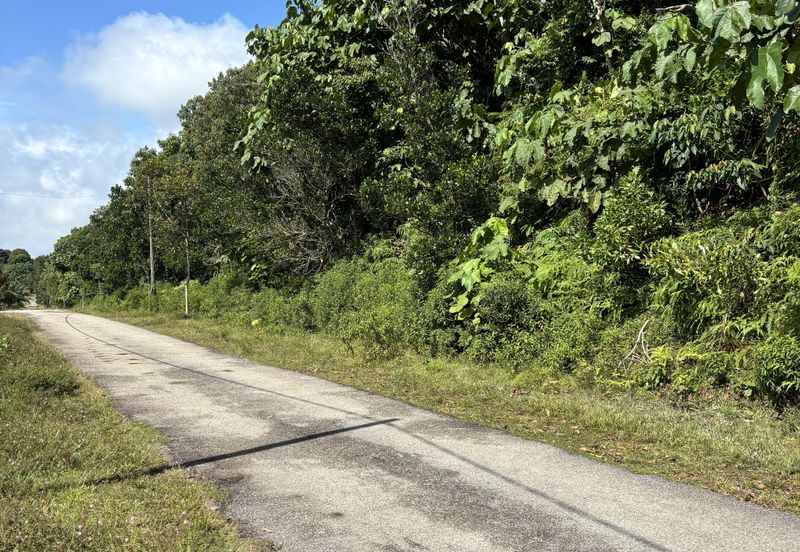 Exevalley Orchard Park, Linggi, Pedas