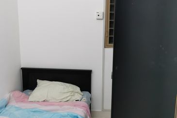 Tropicana City Tropics