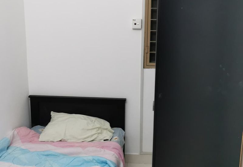 Tropicana City Tropics