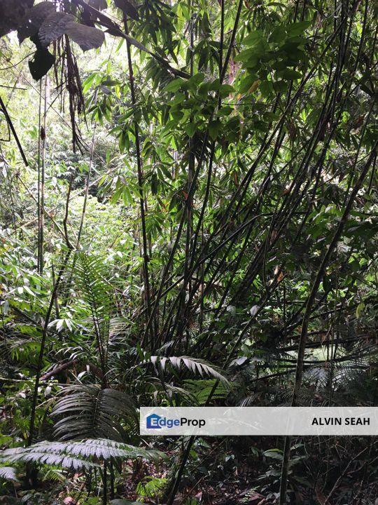 Genting Highland, Awana Genting, Pahang, Pahang, Bentong