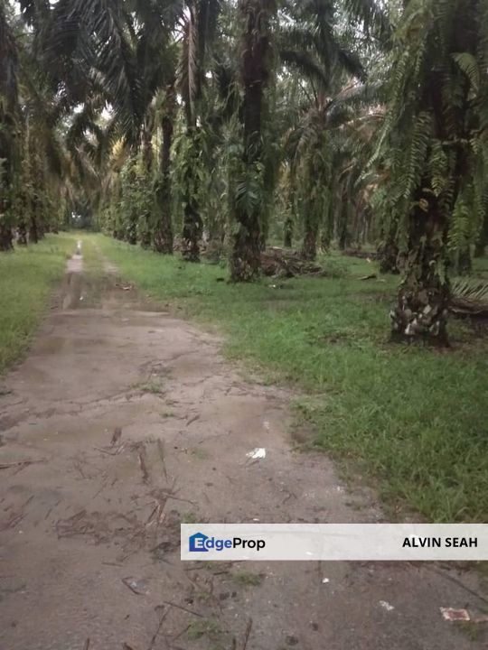 Bestari Jaya, Batang Berjuntai, Selangor, Selangor, Kuala Selangor