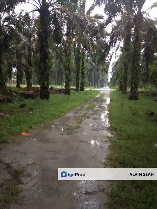 Bestari Jaya, Batang Berjuntai, Selangor, Selangor, Kuala Selangor