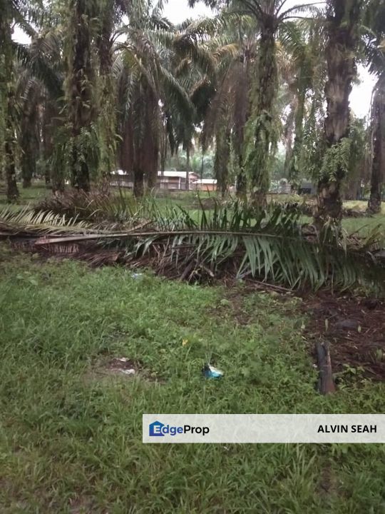 Bestari Jaya, Batang Berjuntai, Selangor, Selangor, Kuala Selangor