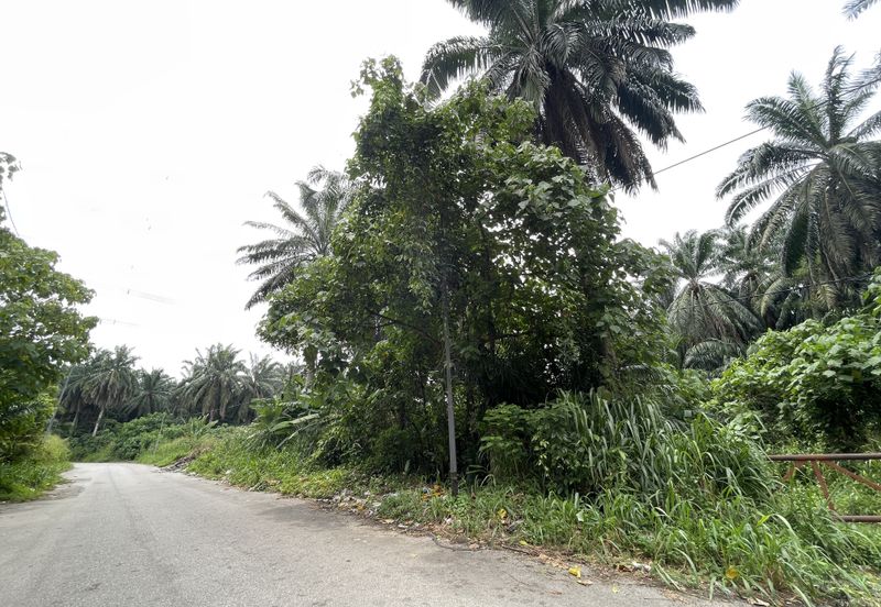 Hi Tech Industrial Park