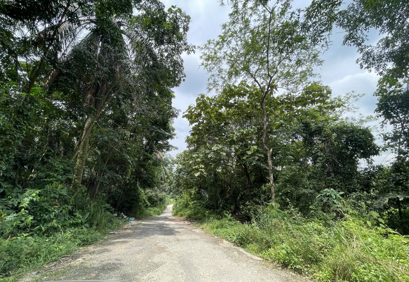 Hi Tech Industrial Park