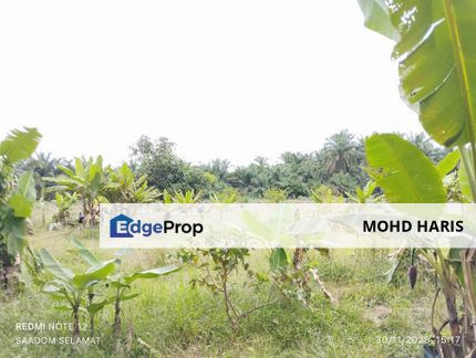 Mukim Sri Gading Agriculture Land, Johor, Seri Gading