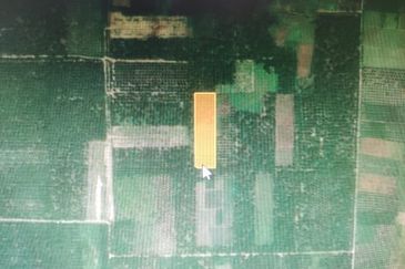 Bukit Perah, Mukim Tanjung Dua Belas, 2.8 Acre Agri Land 