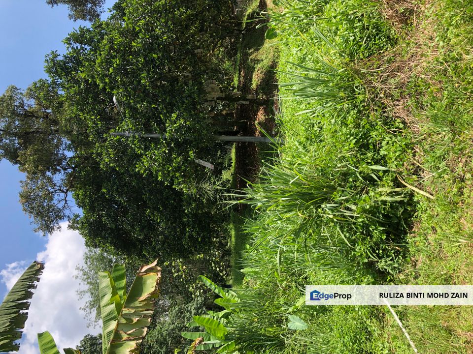 Agricultural Land Sg Tekali Hulu Langat, Selangor, Hulu Langat