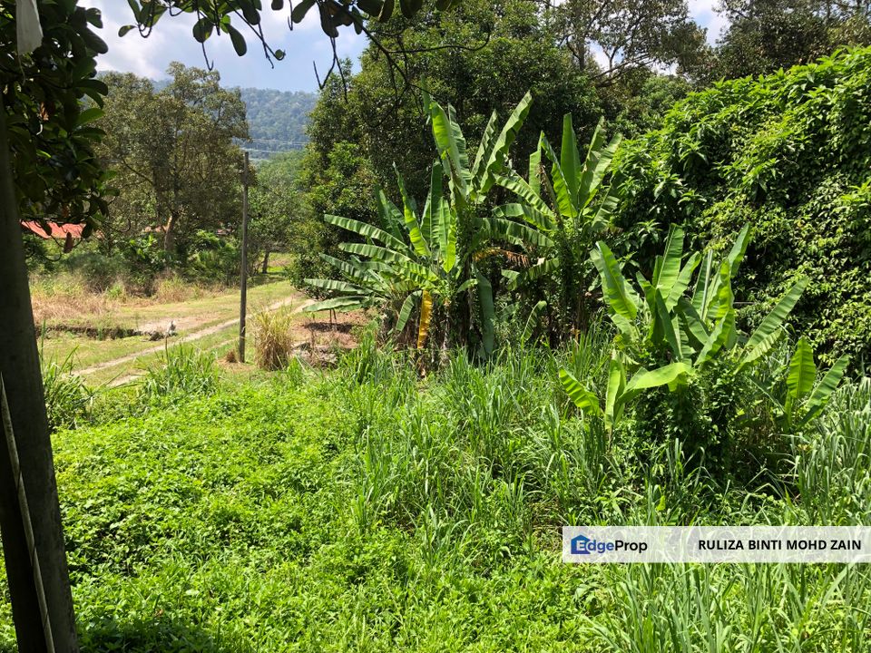 Agricultural Land Sg Tekali Hulu Langat, Selangor, Hulu Langat