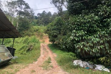 Hulu Langat Agricultural Land Sg Perdik