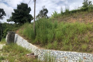 Hulu Langat Agricultural Land Sg Perdik