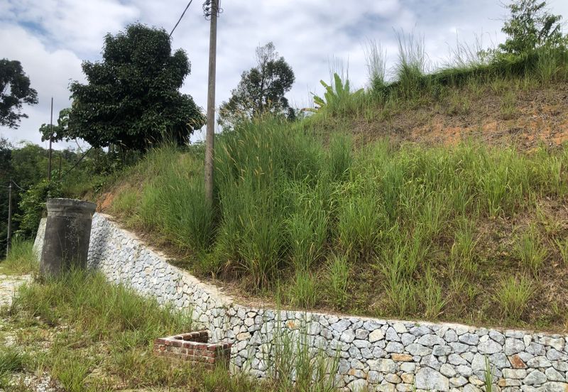 Hulu Langat Agricultural Land Sg Perdik