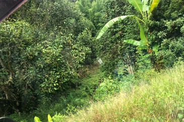 Hulu Langat Agricultural Land Sg Perdik