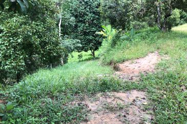 Hulu Langat Agricultural Land Sg Perdik