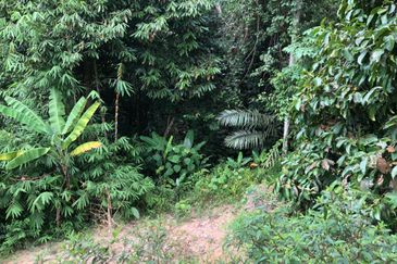 Hulu Langat Agricultural Land Sg Perdik