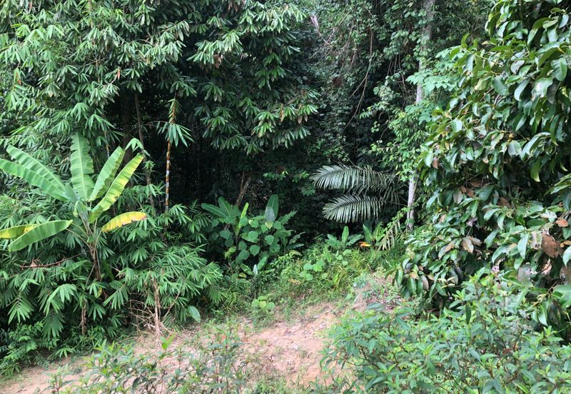 Hulu Langat Agricultural Land Sg Perdik