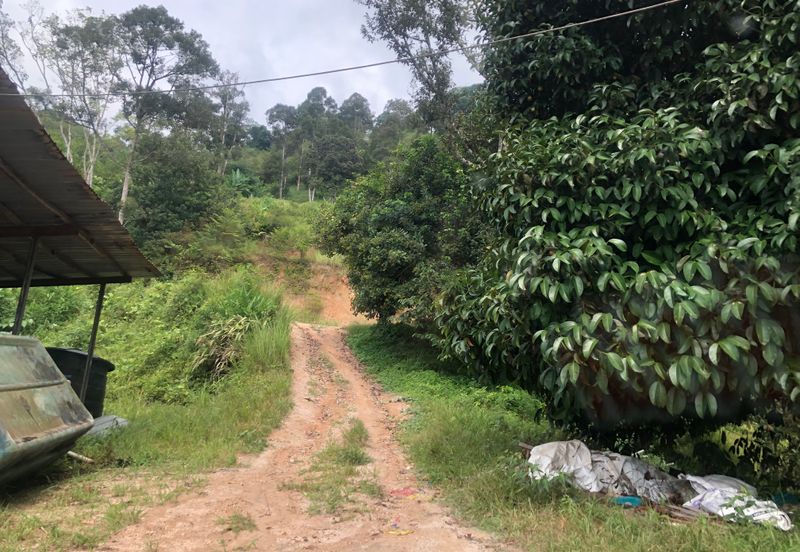 Hulu Langat Agricultural Land Sg Perdik
