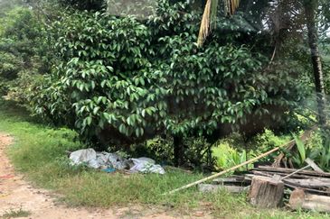 Hulu Langat Agricultural Land Sg Perdik