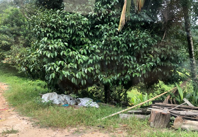 Hulu Langat Agricultural Land Sg Perdik