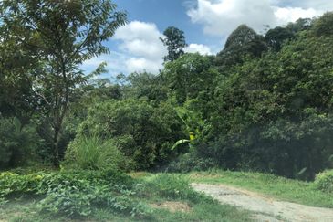 Hulu Langat Agricultural Land Sg Perdik