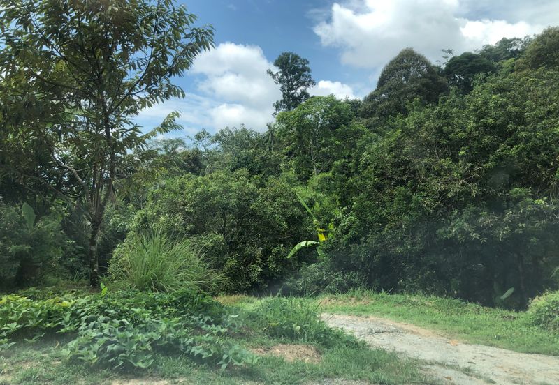 Hulu Langat Agricultural Land Sg Perdik