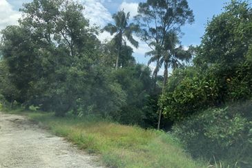 Hulu Langat Agricultural Land Sg Perdik