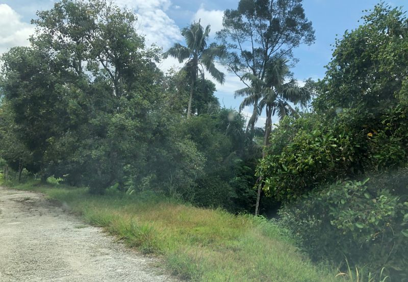 Hulu Langat Agricultural Land Sg Perdik