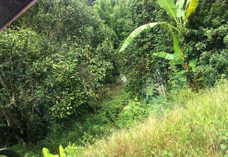Hulu Langat Agricultural Land Sg Perdik