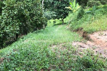 Hulu Langat Agricultural Land Sg Perdik