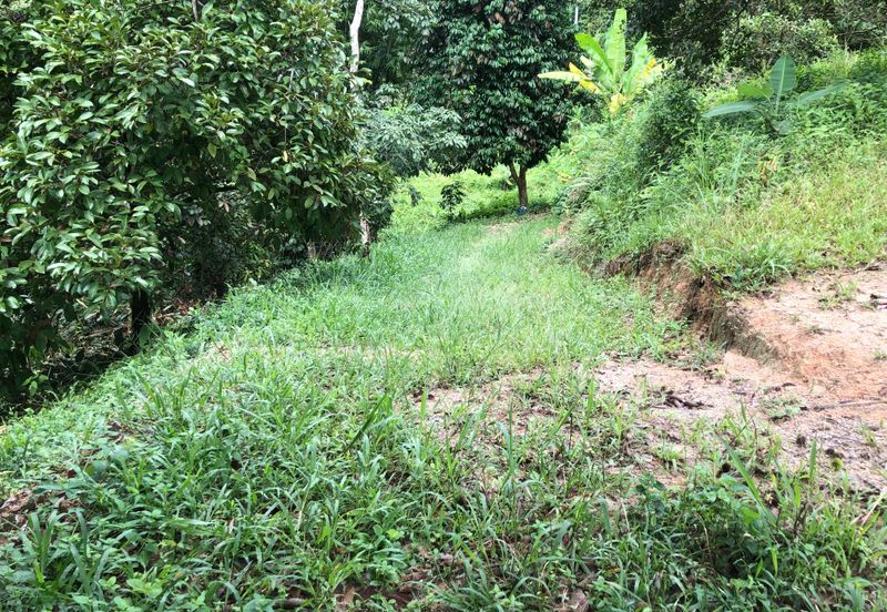 Hulu Langat Agricultural Land Sg Perdik