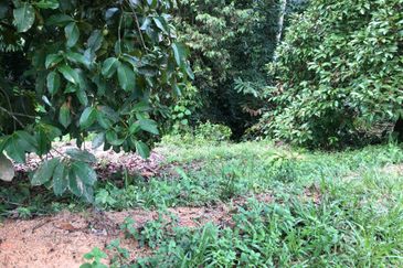 Hulu Langat Agricultural Land Sg Perdik