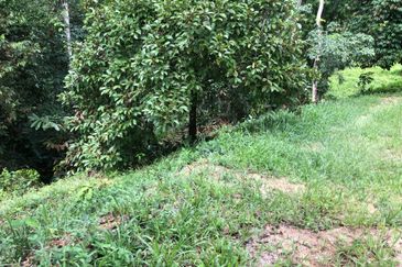 Hulu Langat Agricultural Land Sg Perdik