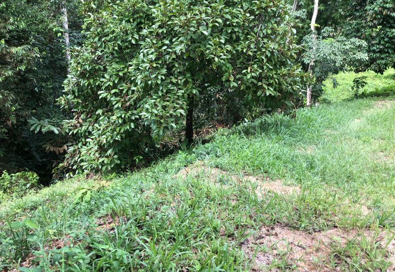 Hulu Langat Agricultural Land Sg Perdik